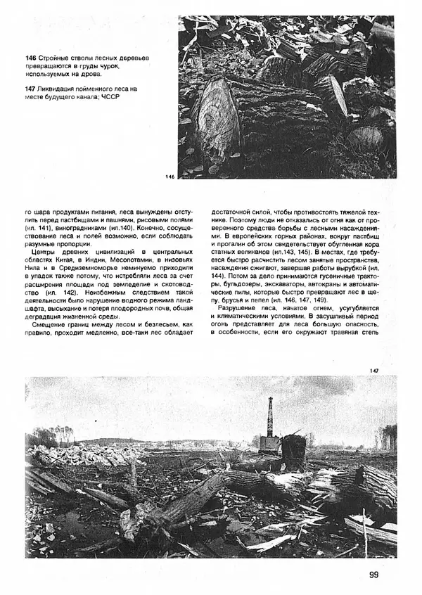 Ян Еник - Иллюстрированная энциклопедия лесов - Страница № 115