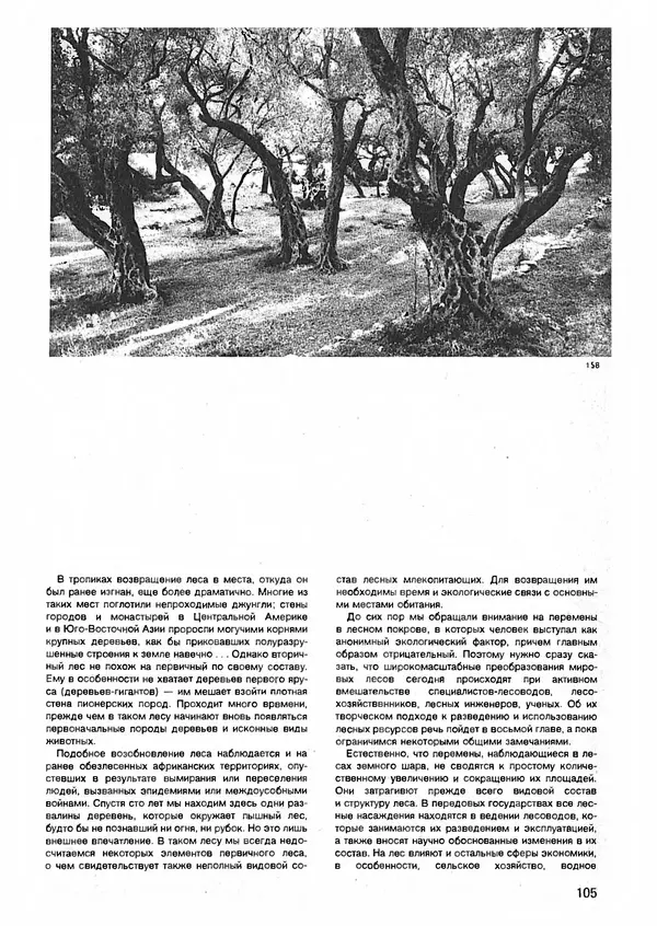 Ян Еник - Иллюстрированная энциклопедия лесов - Страница № 121