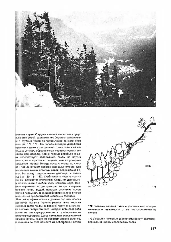 Ян Еник - Иллюстрированная энциклопедия лесов - Страница № 133