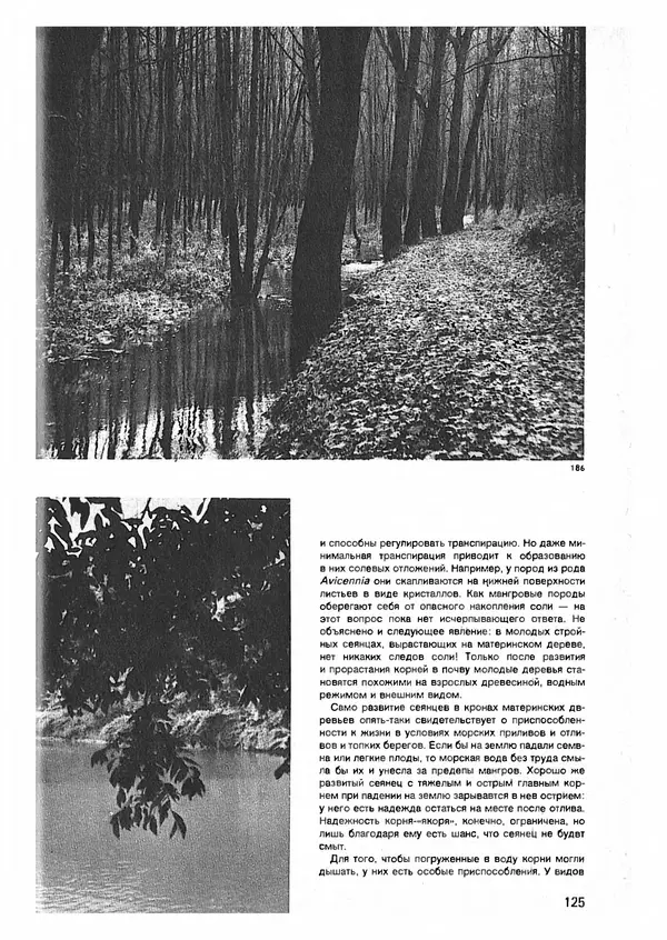Ян Еник - Иллюстрированная энциклопедия лесов - Страница № 141