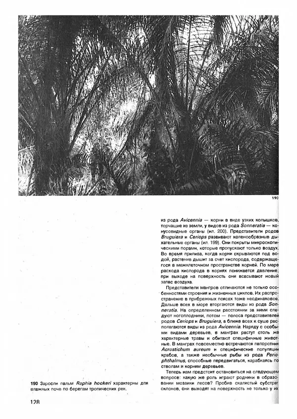 Ян Еник - Иллюстрированная энциклопедия лесов - Страница № 144