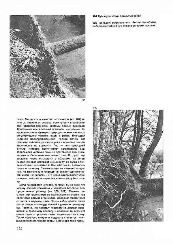 Ян Еник - Иллюстрированная энциклопедия лесов - Страница № 148