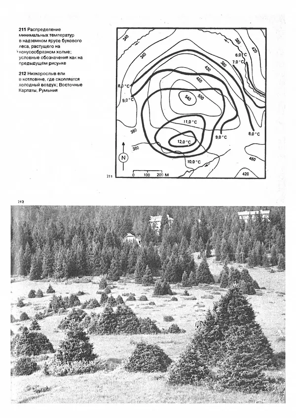 Ян Еник - Иллюстрированная энциклопедия лесов - Страница № 159