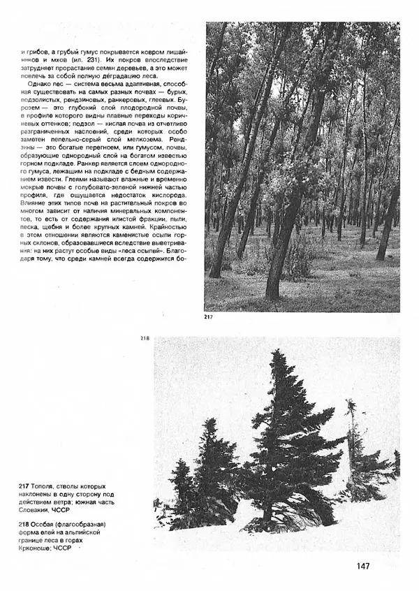 Ян Еник - Иллюстрированная энциклопедия лесов - Страница № 163