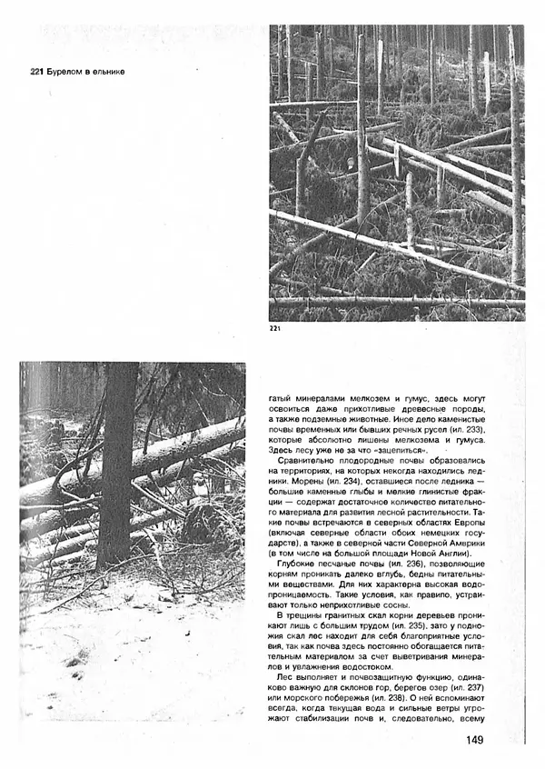 Ян Еник - Иллюстрированная энциклопедия лесов - Страница № 165