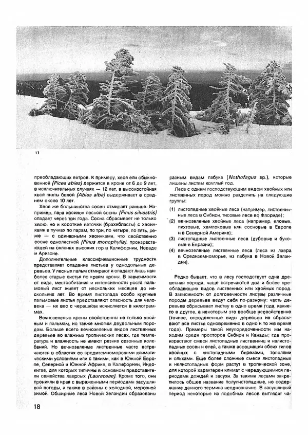 Ян Еник - Иллюстрированная энциклопедия лесов - Страница № 18