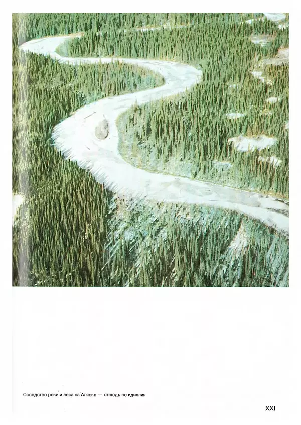 Ян Еник - Иллюстрированная энциклопедия лесов - Страница № 181