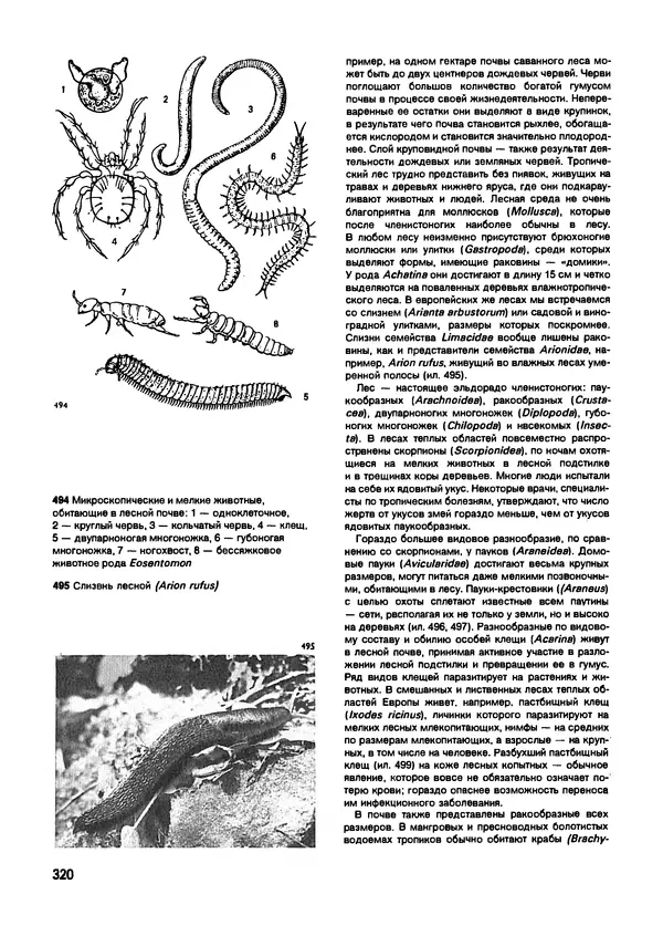 Ян Еник - Иллюстрированная энциклопедия лесов - Страница № 368