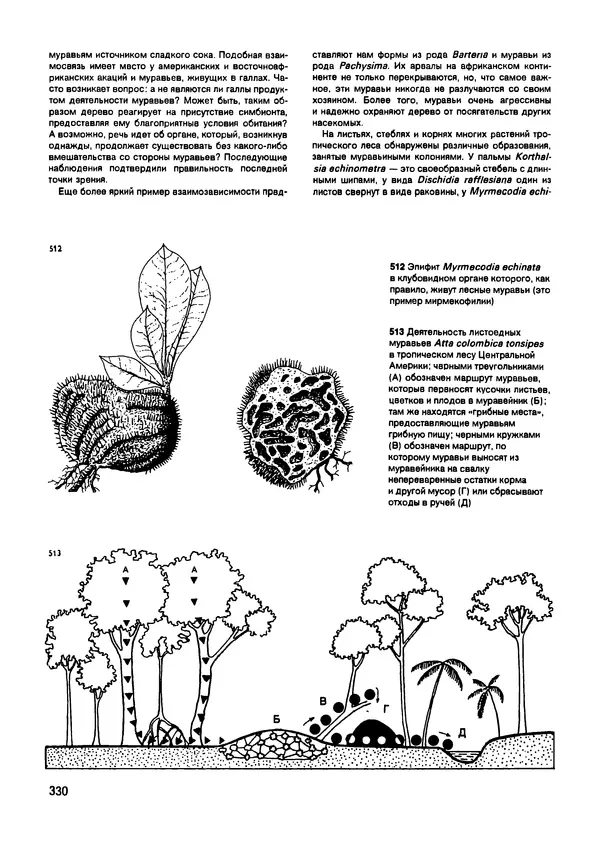 Ян Еник - Иллюстрированная энциклопедия лесов - Страница № 378