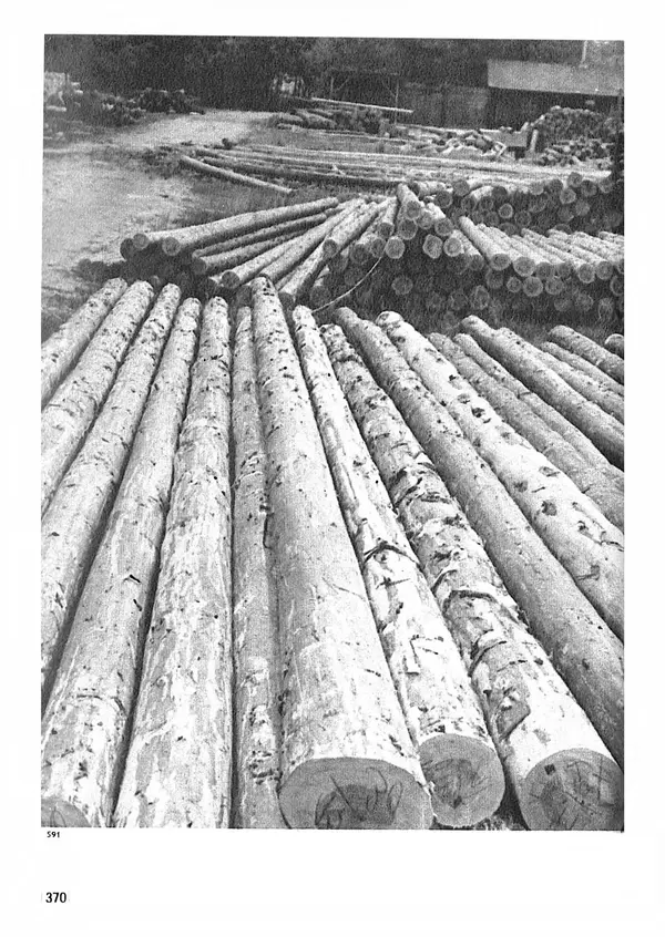 Ян Еник - Иллюстрированная энциклопедия лесов - Страница № 418