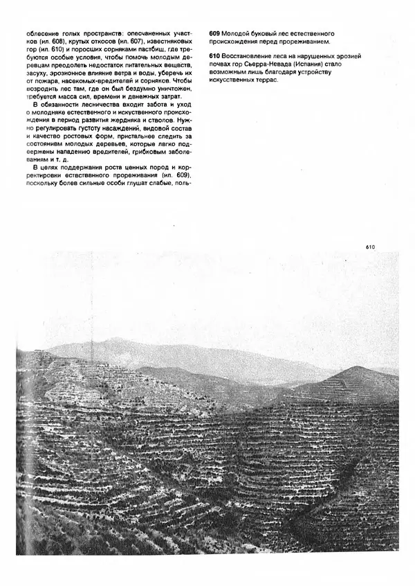 Ян Еник - Иллюстрированная энциклопедия лесов - Страница № 431