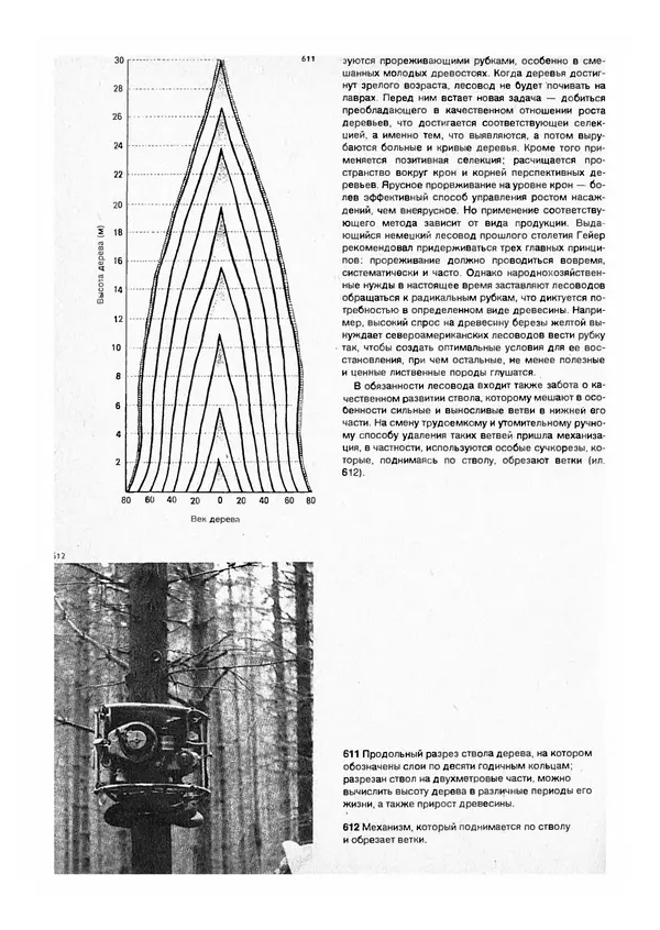 Ян Еник - Иллюстрированная энциклопедия лесов - Страница № 432