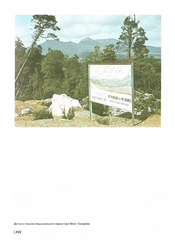 Ян Еник - Иллюстрированная энциклопедия лесов - Страница № 448