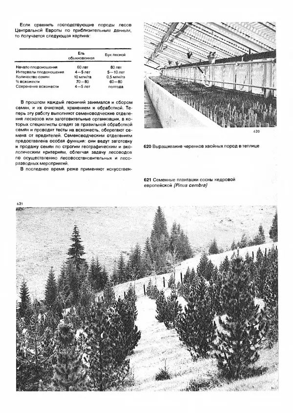 Ян Еник - Иллюстрированная энциклопедия лесов - Страница № 453