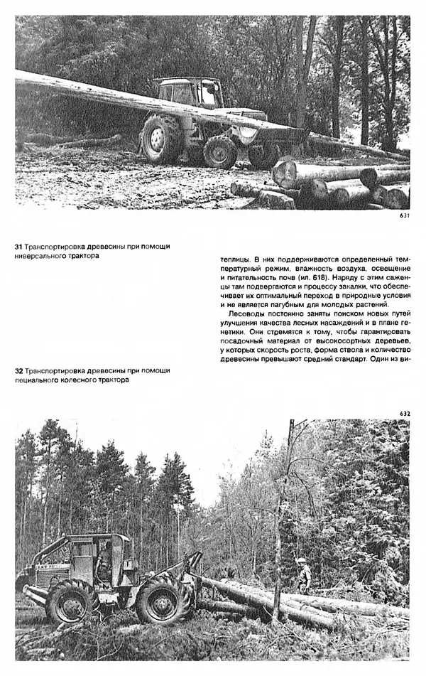 Ян Еник - Иллюстрированная энциклопедия лесов - Страница № 458