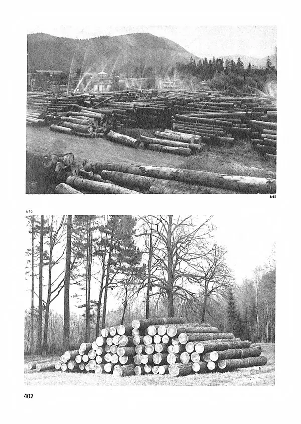 Ян Еник - Иллюстрированная энциклопедия лесов - Страница № 466