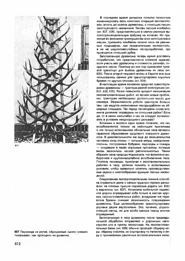 Ян Еник - Иллюстрированная энциклопедия лесов - Страница № 476