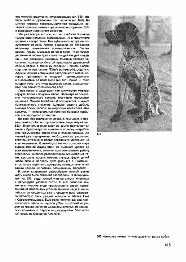 Ян Еник - Иллюстрированная энциклопедия лесов - Страница № 479