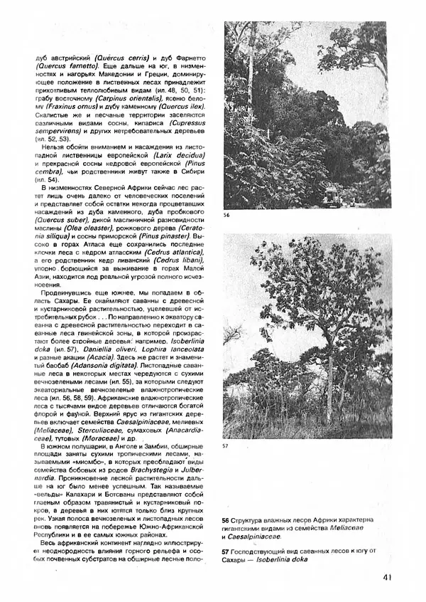 Ян Еник - Иллюстрированная энциклопедия лесов - Страница № 57