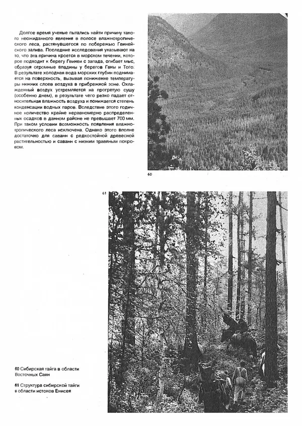 Ян Еник - Иллюстрированная энциклопедия лесов - Страница № 59