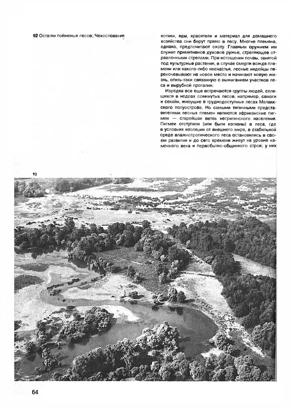 Ян Еник - Иллюстрированная энциклопедия лесов - Страница № 80