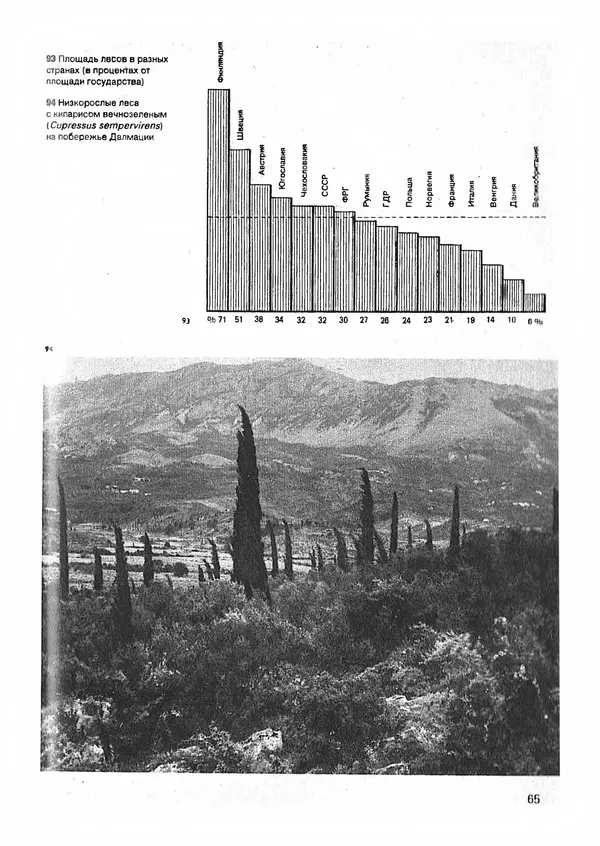 Ян Еник - Иллюстрированная энциклопедия лесов - Страница № 81