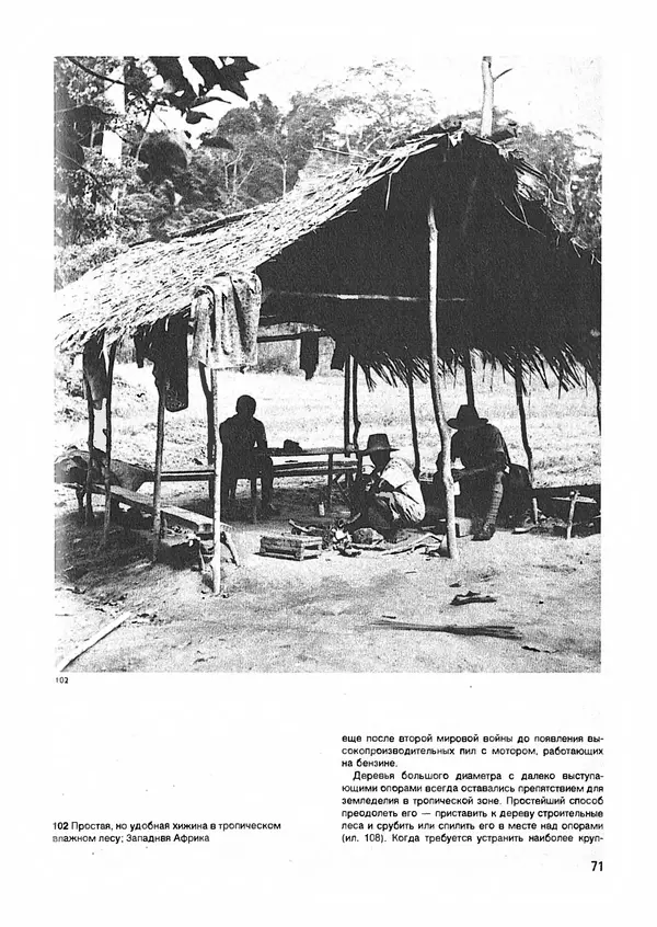 Ян Еник - Иллюстрированная энциклопедия лесов - Страница № 87