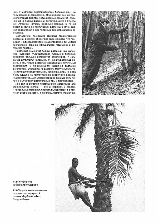 Ян Еник - Иллюстрированная энциклопедия лесов - Страница № 93