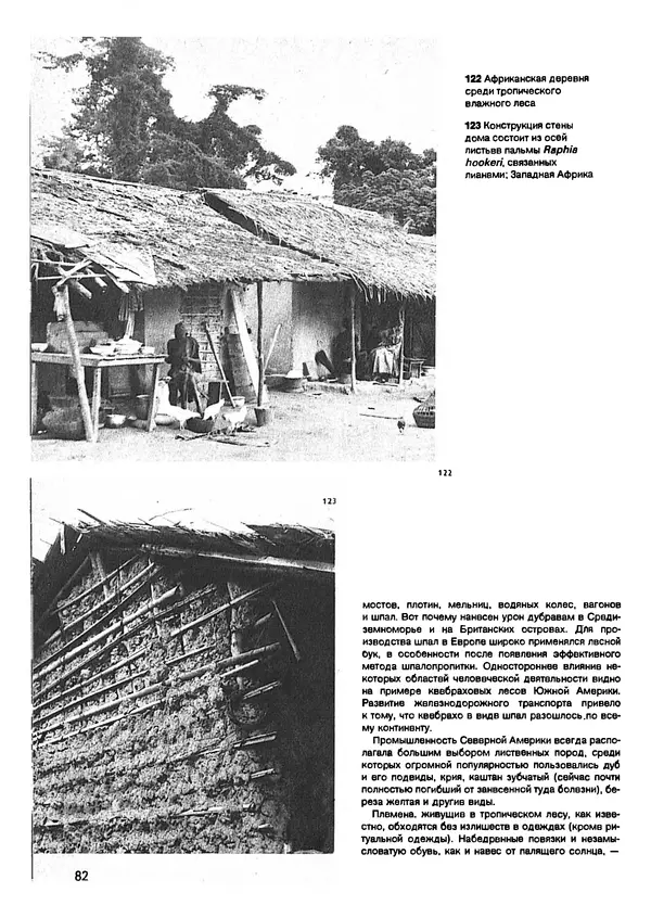 Ян Еник - Иллюстрированная энциклопедия лесов - Страница № 98