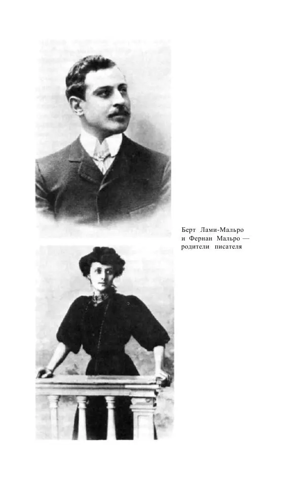 Андре Мальро - Зеркало лимба - Страница № 4