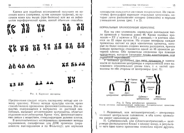 Виктор Маккьюсик - Генетика человека - Страница № 12