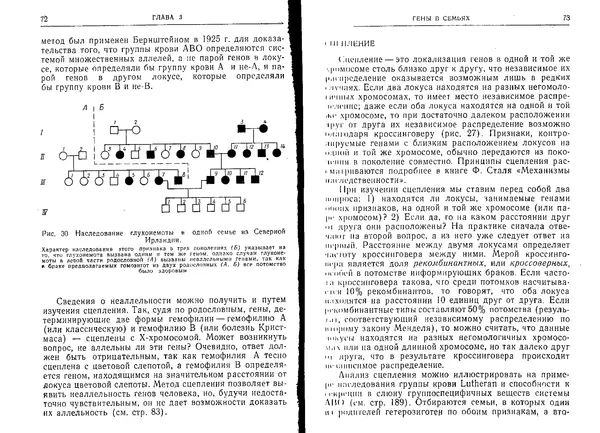 Виктор Маккьюсик - Генетика человека - Страница № 36
