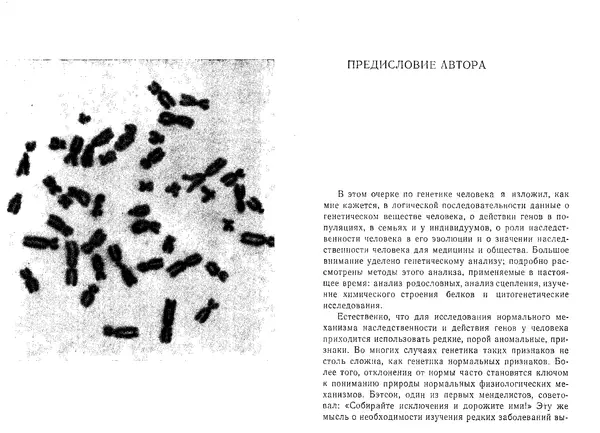Виктор Маккьюсик - Генетика человека - Страница № 5