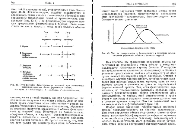 Виктор Маккьюсик - Генетика человека - Страница № 51