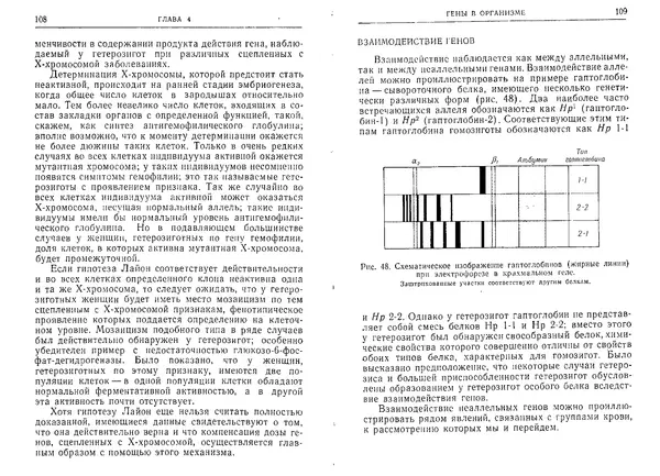 Виктор Маккьюсик - Генетика человека - Страница № 54