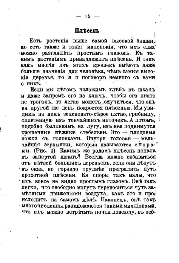 Германъ Вагнеръ - Разсказы о разныхъ замечательныхъ растенияхъ - Страница № 16