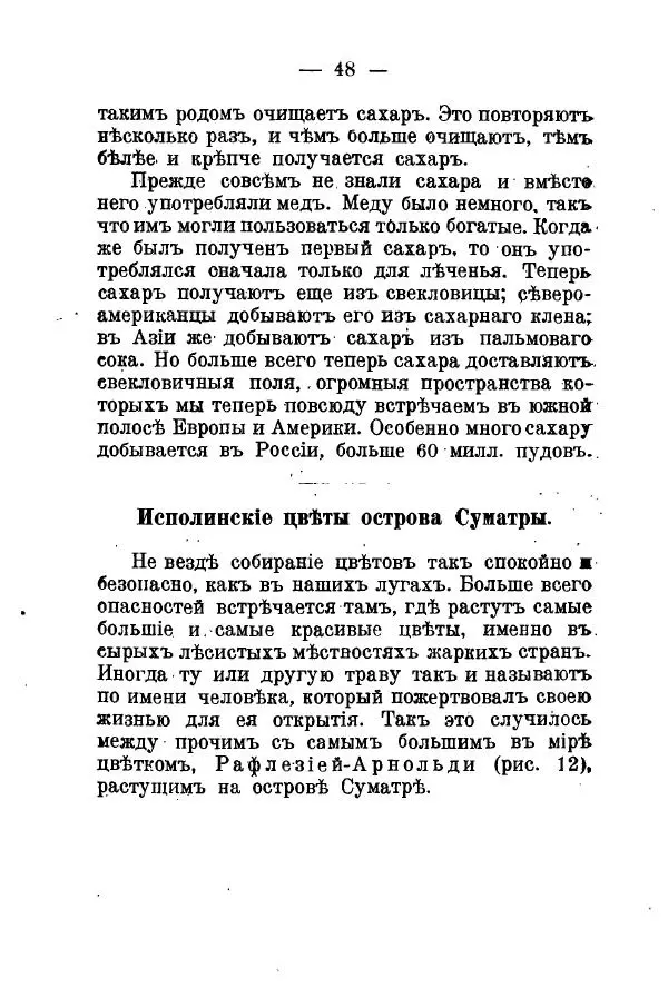 Германъ Вагнеръ - Разсказы о разныхъ замечательныхъ растенияхъ - Страница № 49
