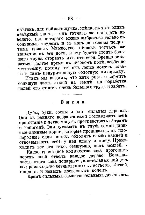 Германъ Вагнеръ - Разсказы о разныхъ замечательныхъ растенияхъ - Страница № 59