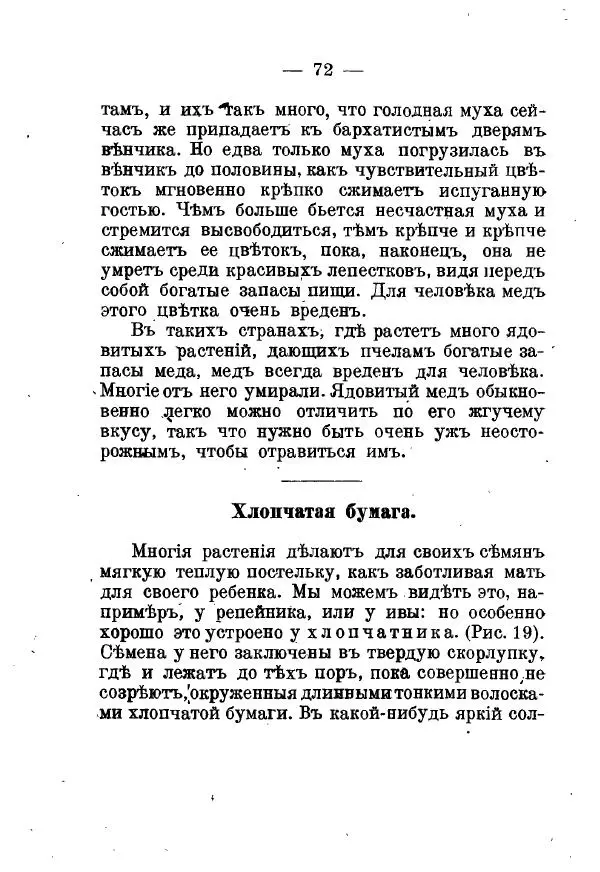 Германъ Вагнеръ - Разсказы о разныхъ замечательныхъ растенияхъ - Страница № 73