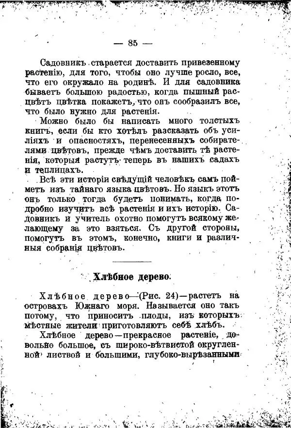 Германъ Вагнеръ - Разсказы о разныхъ замечательныхъ растенияхъ - Страница № 86