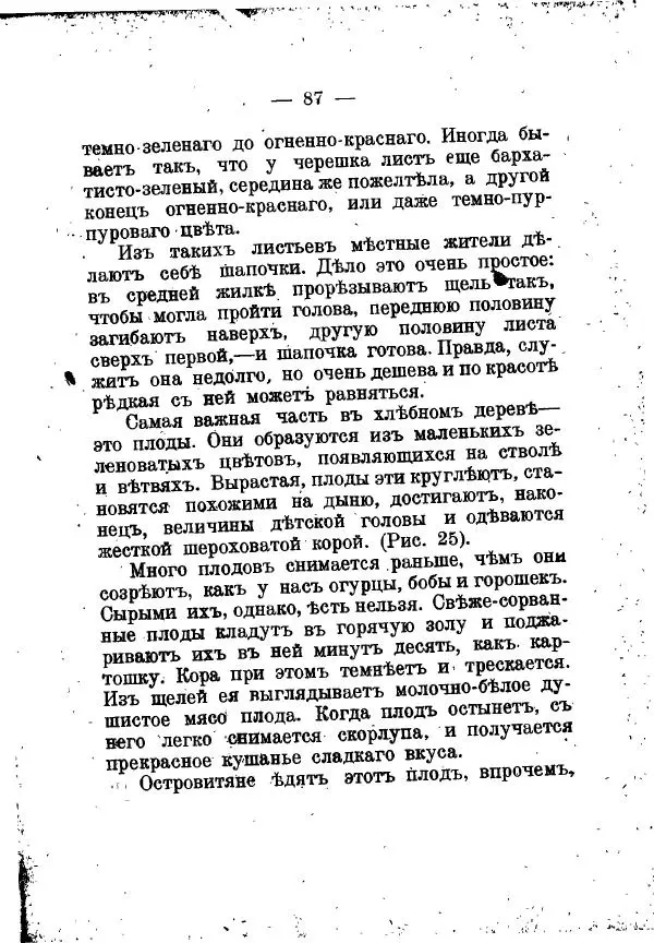 Германъ Вагнеръ - Разсказы о разныхъ замечательныхъ растенияхъ - Страница № 88