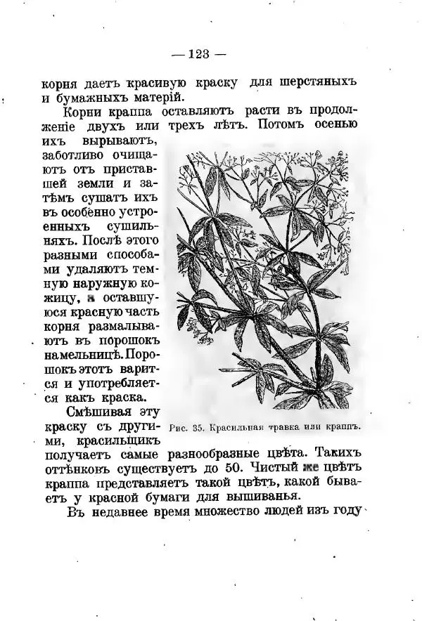 Германъ Вагнеръ - Разсказы о разныхъ замечательныхъ растенияхъ - Страница № 124