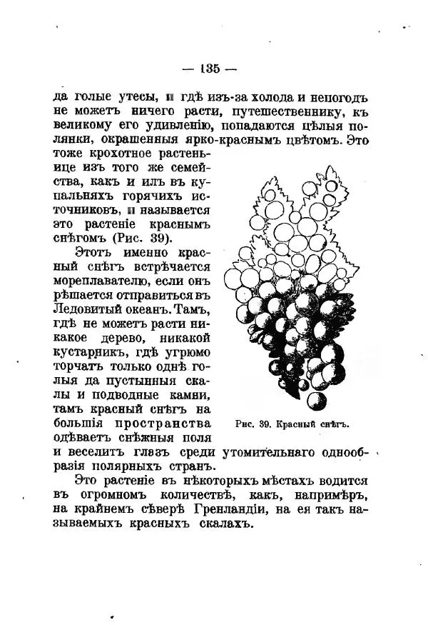 Германъ Вагнеръ - Разсказы о разныхъ замечательныхъ растенияхъ - Страница № 136