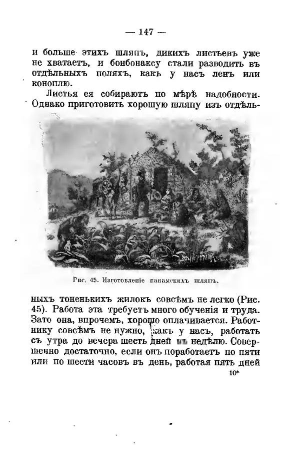 Германъ Вагнеръ - Разсказы о разныхъ замечательныхъ растенияхъ - Страница № 148