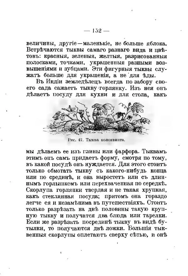 Германъ Вагнеръ - Разсказы о разныхъ замечательныхъ растенияхъ - Страница № 153