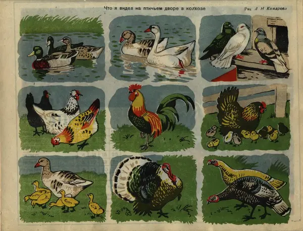  Коллектив авторов - Детский календарь (1946 г.) - Страница № 42