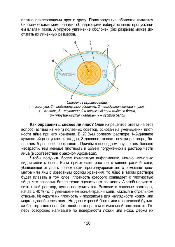 Вадим Котов - Удивительная физика. 11 класс. Учебное пособие - Страница № 127