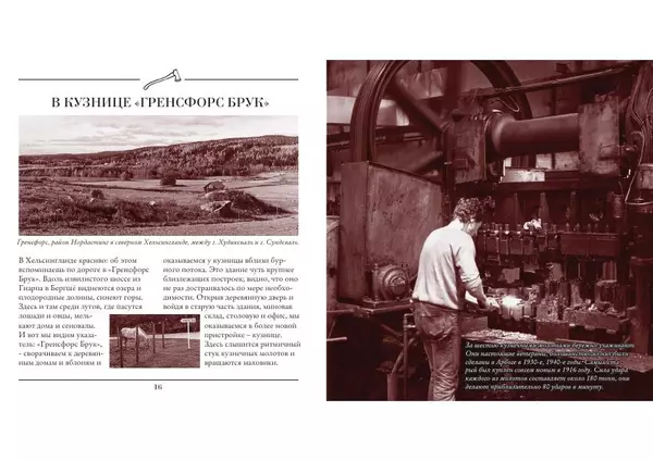 Гренсфорс Брук - Книга о топорах - Страница № 9
