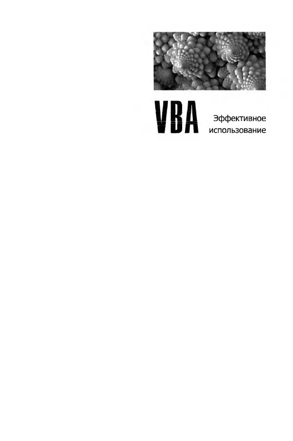 В. Кузьменко - VBA. Эффективное использование - Страница № 2