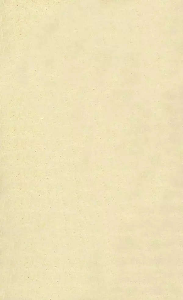 Г. Веселовский - Города Воронежской губернии. Их история и современное состояние - Страница № 24